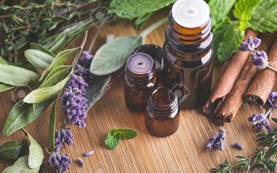 The Power of Essential Oils in Medicine: Why They Are A Good Alternative